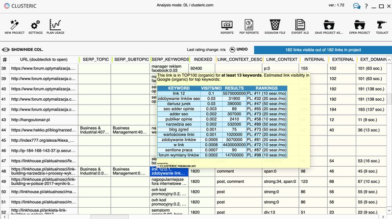 CLUSTERIC Search Auditor - analiza profilu linków / disavow